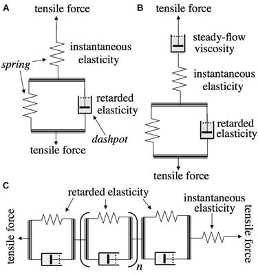 Elastic and Irreversible Bending of Tree and Shrub Branches Under Cantilever Loads